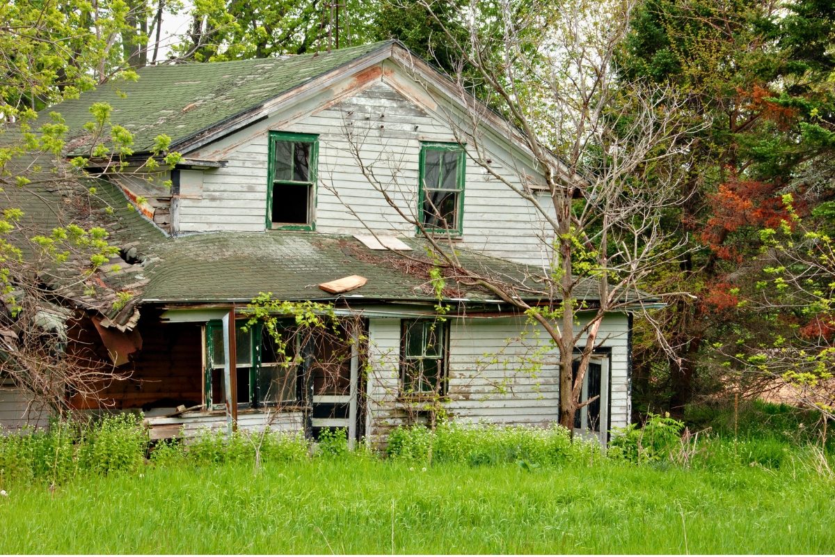 Maison abandonnée entourée de végétation